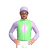 Jockey Silk