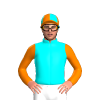 Jockey Silk