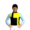 Jockey Silk