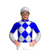 Jockey Silk