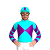 Jockey Silk