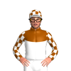 Jockey Silk