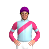 Jockey Silk