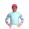 Jockey Silk