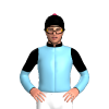 Jockey Silk