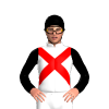 Jockey Silk