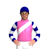 Jockey Silk