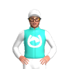 Jockey Silk