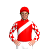 Jockey Silk