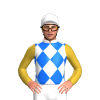 Jockey Silk