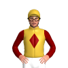 Jockey Silk