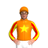 Jockey Silk
