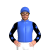 Jockey Silk