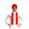Jockey Silk