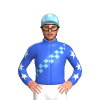 Jockey Silk