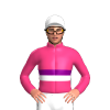 Jockey Silk