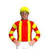 Jockey Silk
