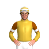 Jockey Silk