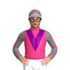 Jockey Silk