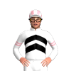 Jockey Silk