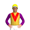 Jockey Silk