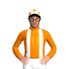 Jockey Silk
