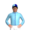 Jockey Silk