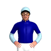 Jockey Silk