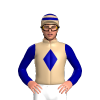 Jockey Silk