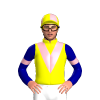 Jockey Silk