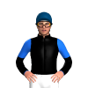 Jockey Silk