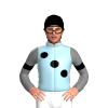 Jockey Silk