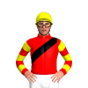 Jockey Silk