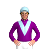 Jockey Silk