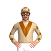 Jockey Silk