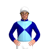 Jockey Silk
