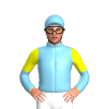 Jockey Silk