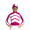 Jockey Silk
