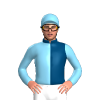 Jockey Silk