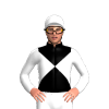 Jockey Silk