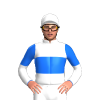 Jockey Silk