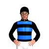 Jockey Silk