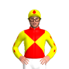 Jockey Silk