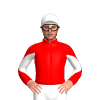 Jockey Silk