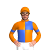 Jockey Silk