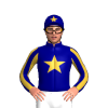 Jockey Silk