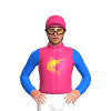 Jockey Silk