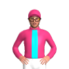 Jockey Silk