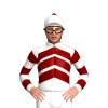 Jockey Silk