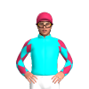 Jockey Silk